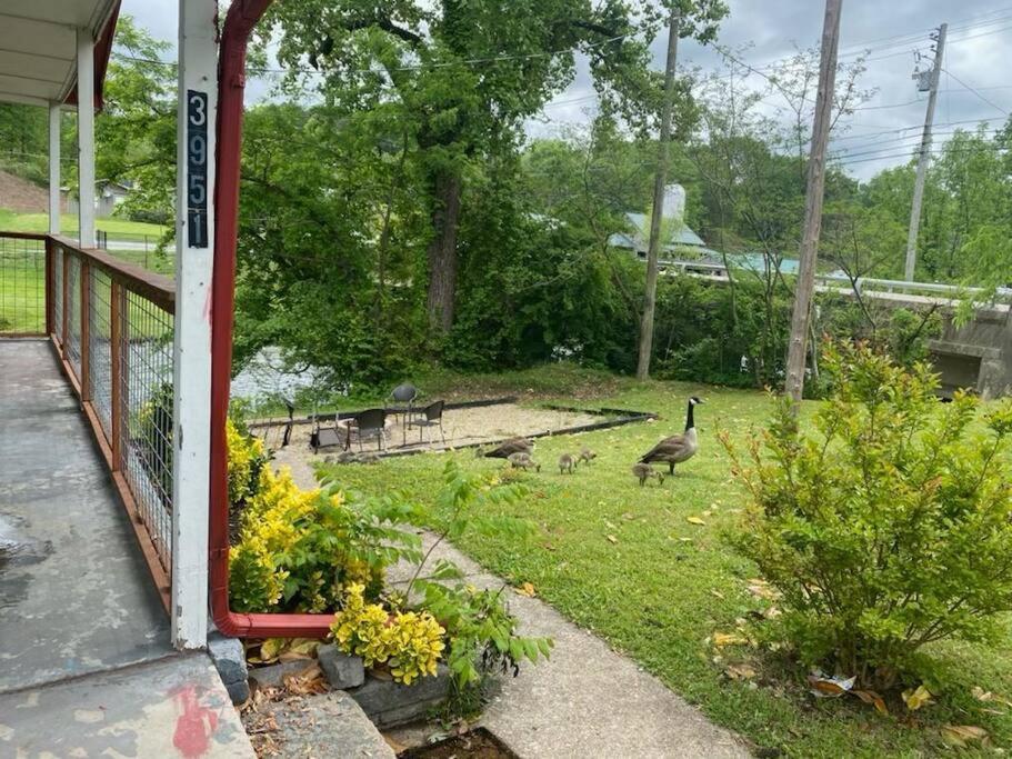 Cabin Inpigeon Forge On The River Villa Exterior photo